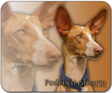 Mousepad Podenco #2